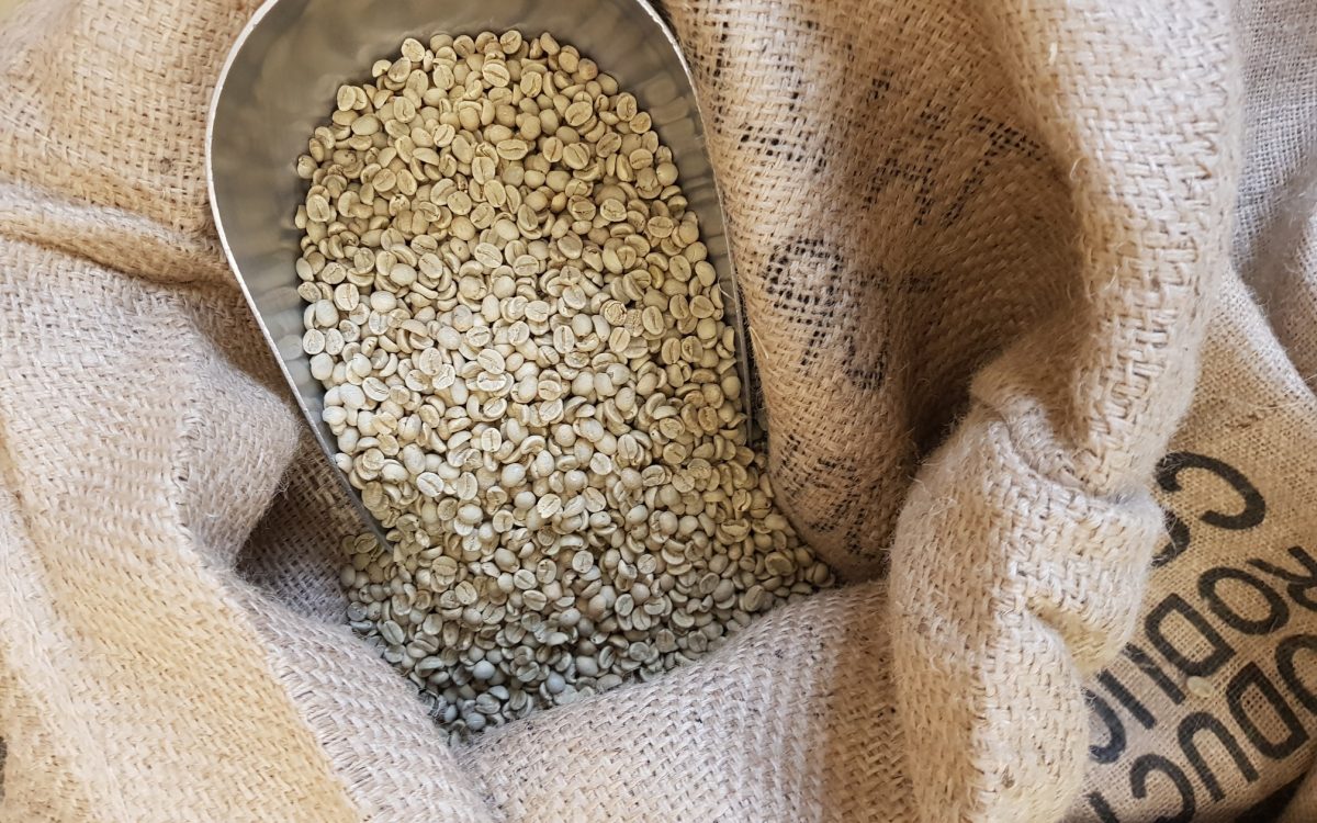 20220221_093655_resized