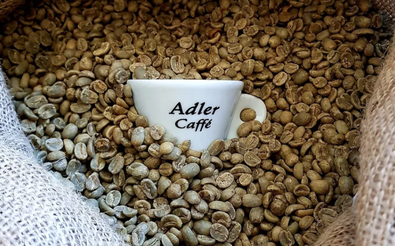 Schermata 2022-02-21 alle 10.52.09